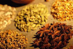 Memilih Produk Herbal di Pasaran