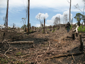 Masyarakat Harus Jaga Kelestarian Hutan