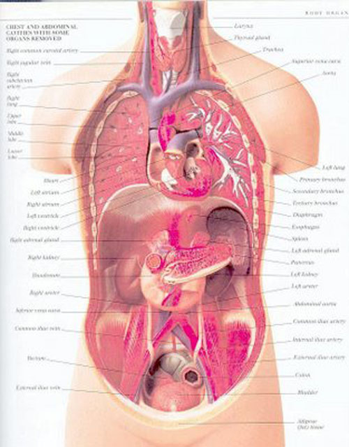 Ilustrasi