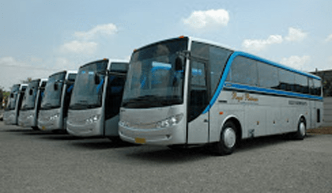 bus