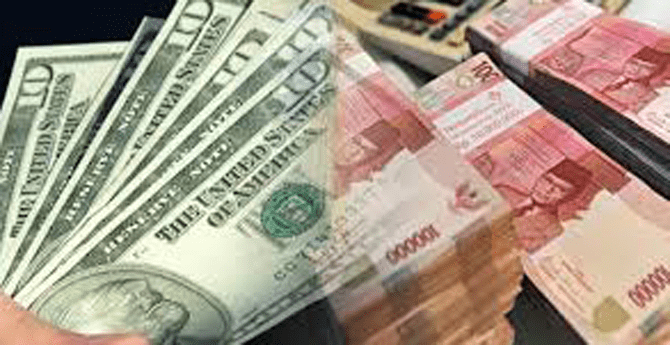 dolar