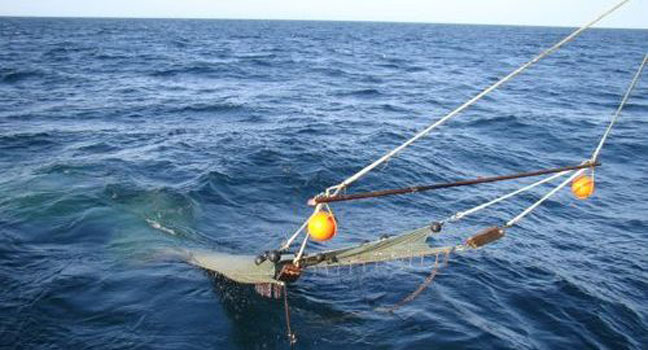 berita-ada-49-kapal-di-base