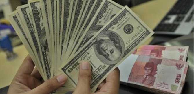 dolar