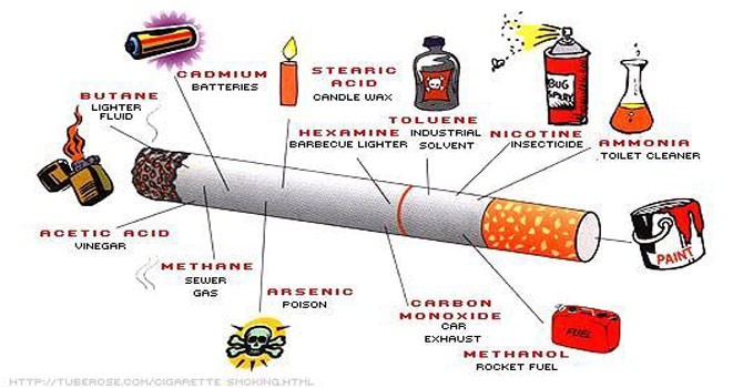 rokok
