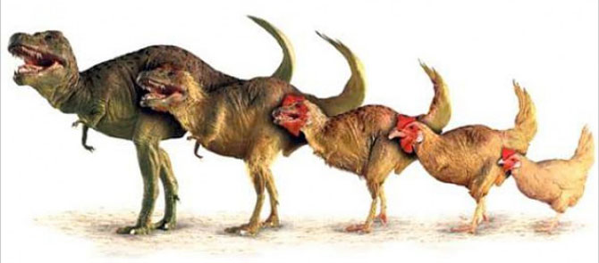ragam