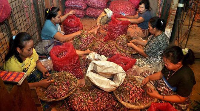 059248400_1409285380-Bawang