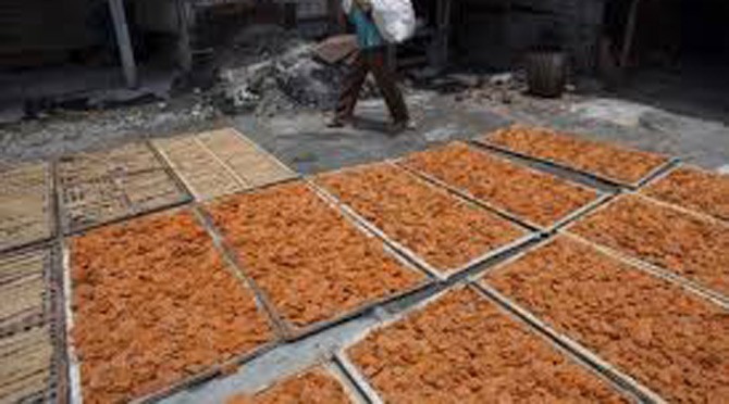 images.jpggggg