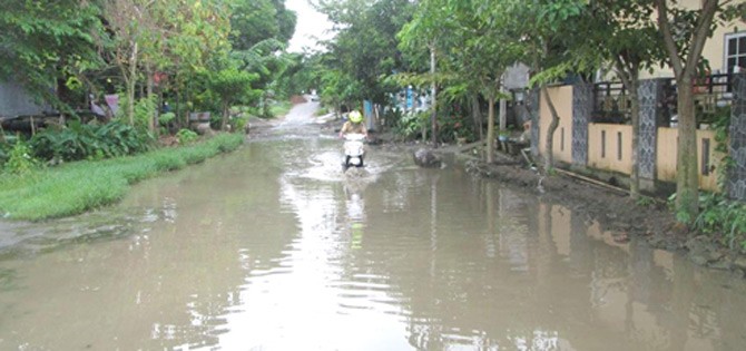 19.jpg2