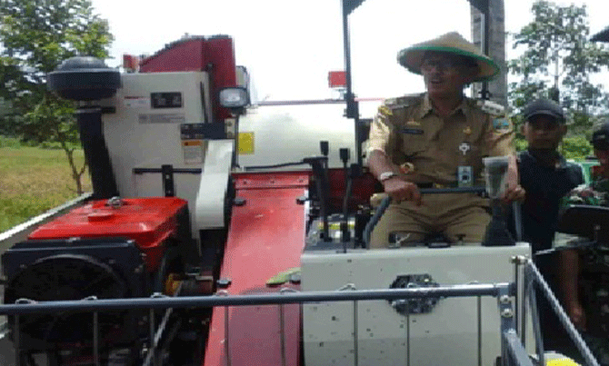 MENCOBA - Bupati Pesisit Barat Agus Istiqlal sedang mencoba mesin pemotong padi. –tubasmedia.com/agustiawan)